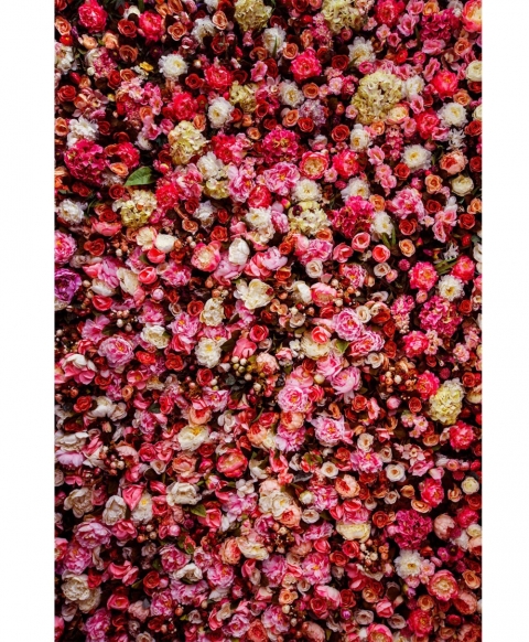 3D Red Rose Flowers Photography Backdrops for Wedding Birthday Party Vinyl Fabric Background for Photo Studio