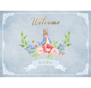 Baby Shower kids Birthday Party Backdrop Vinyl Photography Background Rabbit Baby Newborn Photo Background