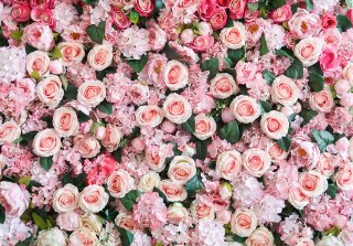 Birthday Wedding Photography Backdrop Pink Rose Flowers Photo Background for Kids Children Photo Booth Props