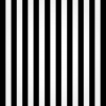 Black and White Striped Photography Backdrop for Studio Booth Wall Paper Party Decoration Background Vinyl Fabric