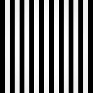 Black and White Striped Photography Backdrop for Studio Booth Wall Paper Party Decoration Background Vinyl Fabric