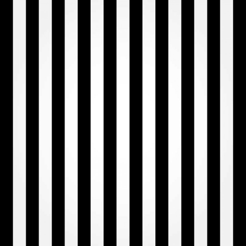 Black and White Striped Photography Backdrop for Studio Booth Wall Paper Party Decoration Background Vinyl Fabric