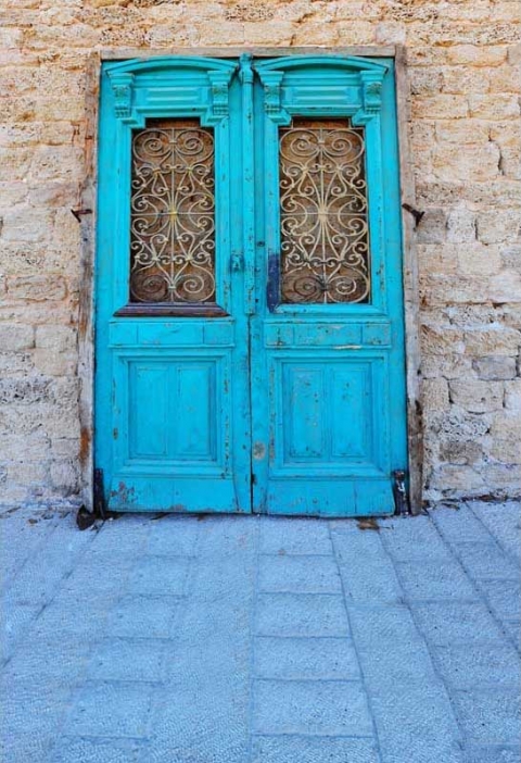 Blue Wood Door Photo Booth Backdrop Brick Wall Photography Background Studio Props