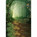 Butterfly Fairy Tale Photography Backdrop Studio Newborn Background Green Forest Backdrops