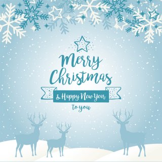 Snow Elk Photography Backdrops Merry Christmas Happy New Year to You Background Curtain Decoration