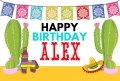 Cactus Party Photography Backdrop Colorful Bunting Happy Birthday Backgrounds For Photo Studio Custom Vinyl