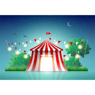 Circus Carnival Night Birthday Photography Backdrops Birthday Decor Custom Photo Background for Pictures