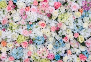 Colorful Flowers Backdrop for Kids Adults Birthday Baby Shower Wedding Photography Background Party Decoration