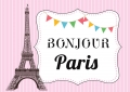 Custom Paris Photography Backdrop for Birthday Pink Striped Baby Shower Photo Background with Eiffel Tower