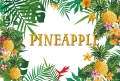 Custom Summer Pineapple Party Photography Backdrop for Kids Birthday Baby Shower Custonized Photo Background for Outdoor Party