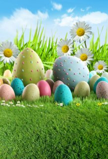 Easter Colorful Eggs Photography Backdrops for Studio Green Grass Sunflowers Vinyl Background for Photo Booth 5x7ft