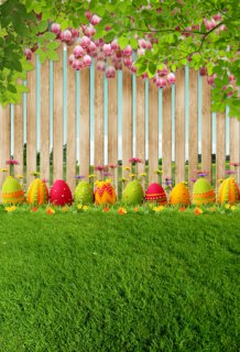 Easter Eggs with Wooden Fence Photography Backdrops for Studio Green Grass Vinyl Background for Photo Booth 5x7ft