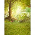 Fairy Tale Photographic Backdrop Forest Backdrops Meadow Flower Free Nature Background Children Studio Scenic