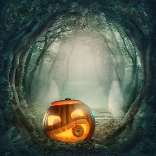 Forest Halloween Themed Photo Background Pumpkin Lantern Photography Backdrops for Photo Studio