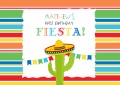 Funny Hats Cactus 1ST Birthday Party Backdrop Colorful Stripe Children Birthday Backgrounds For Photo Studio 7x5FT Custom Vinyl