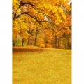 Golden Autumn Scenic Photography Backdrop Vinyl Photo Background for Wall Paper Photo Studio Props CM-6771