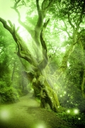 Green Fairy Tale Backdrops Nature Rainforest Photography Background for Photo Studio