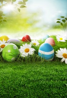 Green Grass Easter Colorful Eggs Photography Backdrops for Studio White Florwers Vinyl Background for Photo Booth 5x7ft  