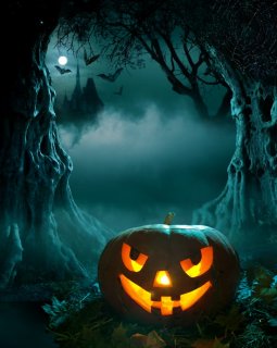 Halloween Festival Photography Backdrops with Pumpkin Lantern Dark Night Photo Background for Studio Booth Party Backdrop Decor Vinyl Fabric