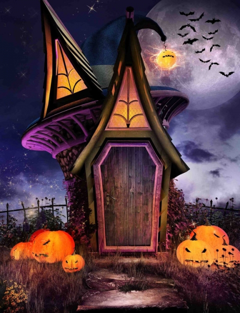 Halloween Photography Backdrop Horror House Banner with Pumpkin Face Bats Photo Booth Background For Pictures Vinyl Studio Props