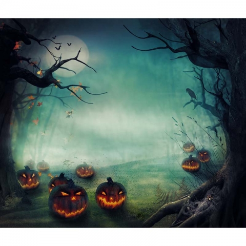 Halloween Pumpkin Lantern Photography Backdrops for Kids Children Photo Booth Background Vinyl Fabric