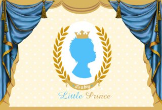 Little Prince Photography Backdrops for Boys Birthday Party Gold Baby Shower Photo Background for Art Studio Party Decoration