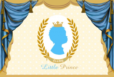 Little Prince Photography Backdrops for Boys Birthday Party Gold Baby Shower Photo Background for Art Studio Party Decoration