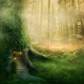 Nature Forest Theme Photography Backdrops Child's Fairy Tale Photo Background for Studio Props Wall Paper