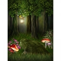 Nature Theme Fairy Tale Photography Backdrops with Board Mushroom Photo Studio Props Tairy Tale Theme Party Photo Background for Art Photo Studio