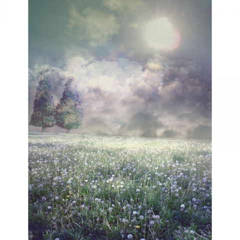 Nature Theme Fairy Tale Photography Backdrops with Flowers Photo Studio Props Tairy Tale Theme Party Photo Background for Art Photo Studio