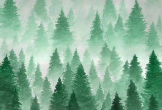 Nature Theme Pine Photography Backdrops Wall Paper Party Decoration Green Tree Background for Photo Studio