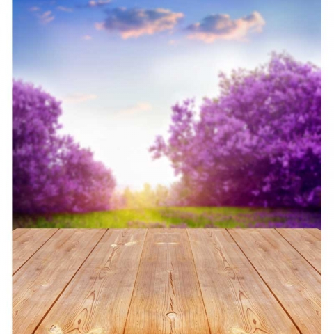 Nature Theme Purple Tree Flowers Photography Backdrop Wood Floor Photo Booth Background for Art Studio