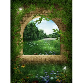 Nature Theme Stone Door Photography backdrops Fairy Tale Theme Party Photo Background Birthday Banner for Kids Children Vinyl Fabric