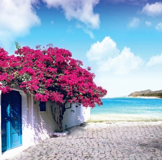 Photography Backdrop with Flower Tree Summer Beach Ocean Theme Party Background with Door Event Photo Background Wall Paper