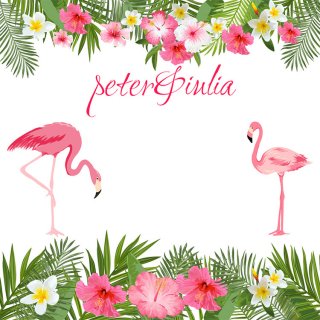 Pink Flamingo Flowers Birthday Photography Backdrop Tropical Rainforest White Wedding Party Baby Shower Background Photo Studio Props