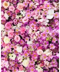 Pink Flowers Photography Backdrops for Baby Shower Wedding Birthday Party Vinyl Fabric Background for Photo Studio