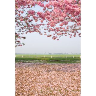 Pink Sakura Flower Tree Backdrop Seamless Vinyl Photography Backdrops Wild Computer Printed Nature Backgrounds for Photo Studio