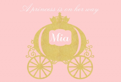 Pink Theme Gold Carriage Cinderella Princess Backdrop Baby Shower Girls 1st Birthday Party Backgrounds Photo Both Vinyl