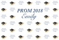 Prom 2018 Graduation Photography Banner Class Reunion Background for Students Party Supplies