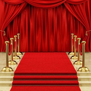 Red Carpet Photography Backdrops for Awards Ceremony Photo Booth Background for Event Birthday Party Decoration Wall Paper Vinyl cloth