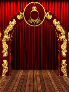 Red Carpet Photography Backdrops with Wood Floor Photo Booth Background for Event Birthday Party Decoration Wall Paper Vinyl cloth