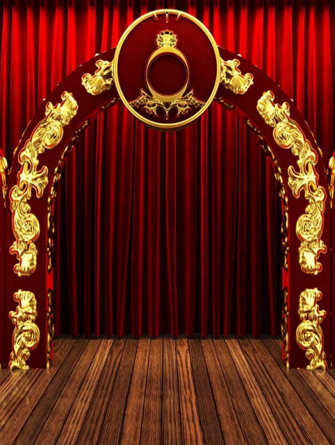 Red Carpet Photography Backdrops with Wood Floor Photo Booth Background for Event Birthday Party Decoration Wall Paper Vinyl cloth