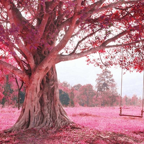 Red Flowers and Tree Photography Backdrop Nature Theme Photo Booth Background for Art Studio Vinyl Fabric