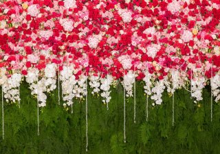 Red Flowers Photography Backdrop for Baby Newborn Vinyl Floral Background for Wedding Kids Birthday