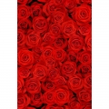 Red Rose Flower Photography Backdrop for Wedding Kids Birthday Party Background Photo Studio Props