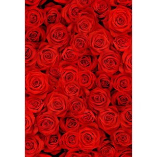 Red Rose Flower Photography Backdrop for Wedding Kids Birthday Party Background Photo Studio Props