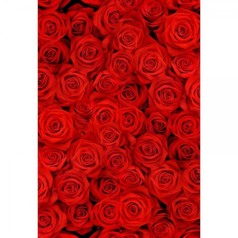 Red Rose Flower Photography Backdrop for Wedding Kids Birthday Party Background Photo Studio Props