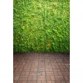 Seamless Green Leaves Wall Photography Backdrop Brick Road Backgrounds for Photo Studio