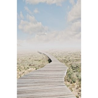 Seamless Photography Backdrop with Path on the Dry Land Computer Printed Scenic Nature Backgrounds for Photo Studio