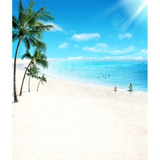 Seamless Thin Vinyl Photography Backdrop with Coconut Tree Blue Sea Beach Backdrop for Party Decoration